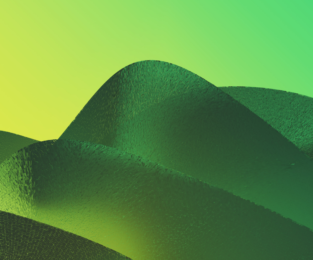 디자이너 대표 이미지